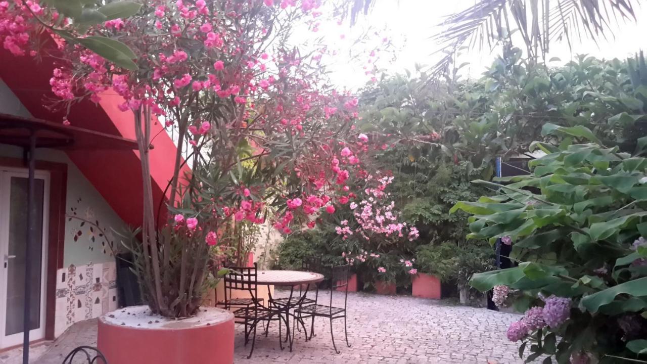 Casa 3 Aguias Bed and Breakfast Αβέιρο Εξωτερικό φωτογραφία