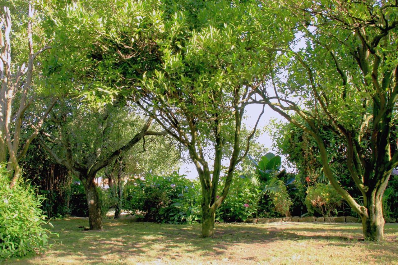 Casa 3 Aguias Bed and Breakfast Αβέιρο Εξωτερικό φωτογραφία