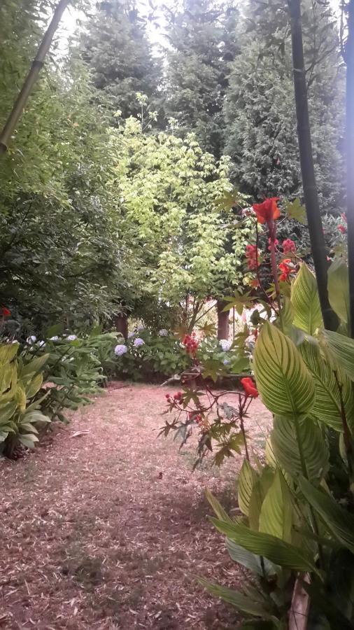 Casa 3 Aguias Bed and Breakfast Αβέιρο Εξωτερικό φωτογραφία