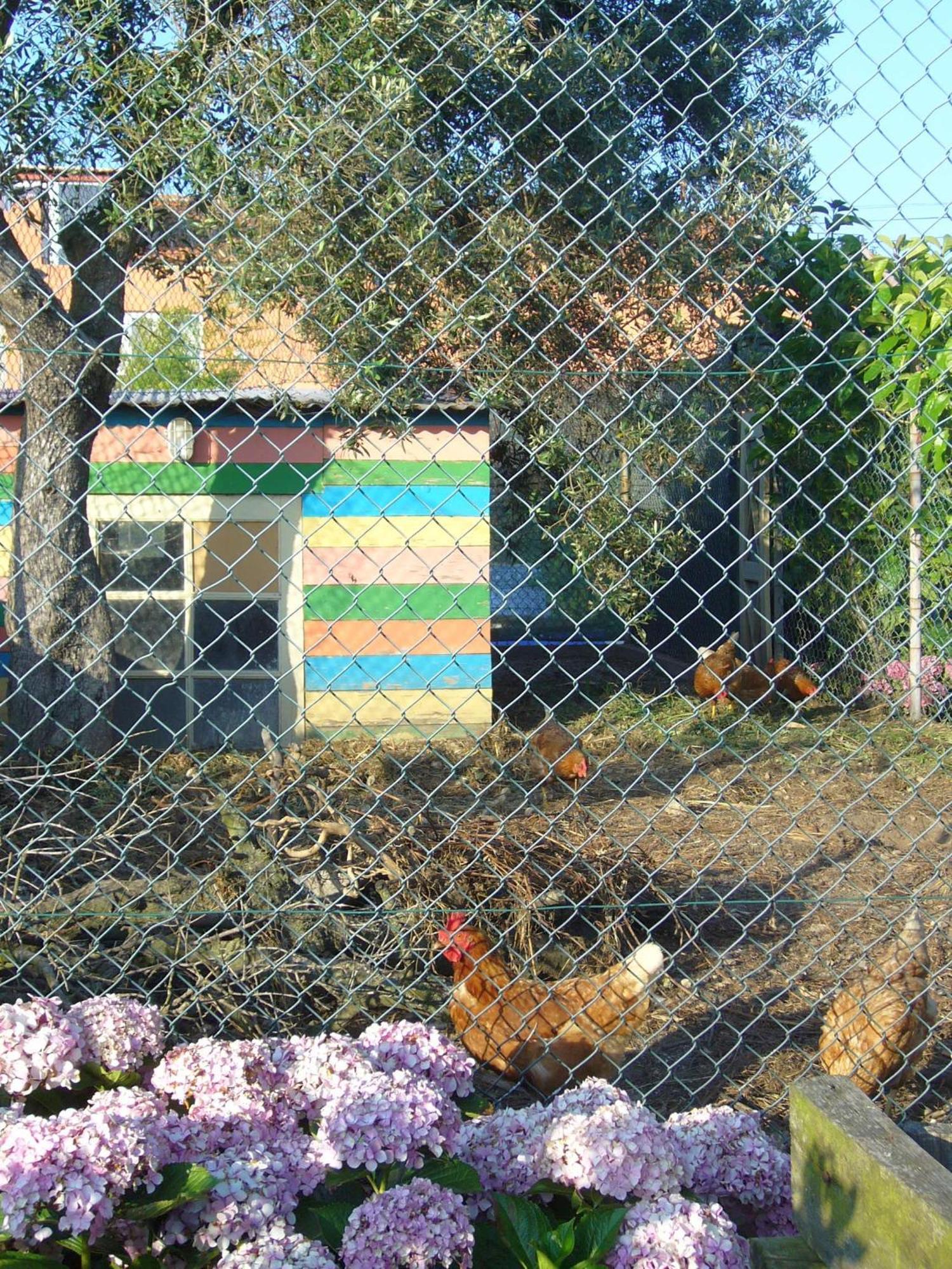 Casa 3 Aguias Bed and Breakfast Αβέιρο Εξωτερικό φωτογραφία